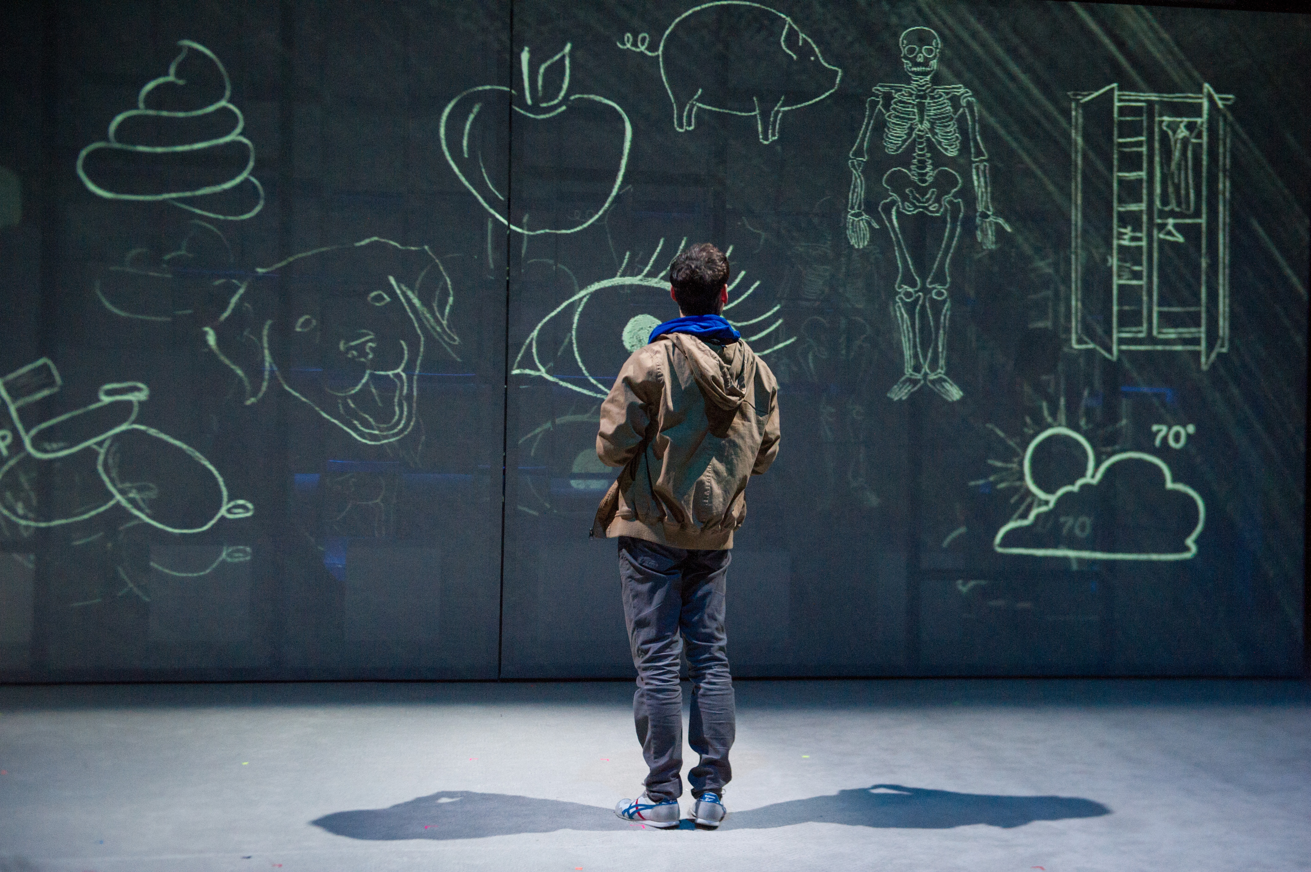 Curious Incident of the Dog in the Night-Time projections image