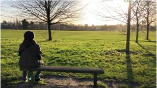 A person sits on a bench looking out at a field.